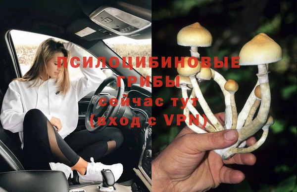 шишки Алексеевка