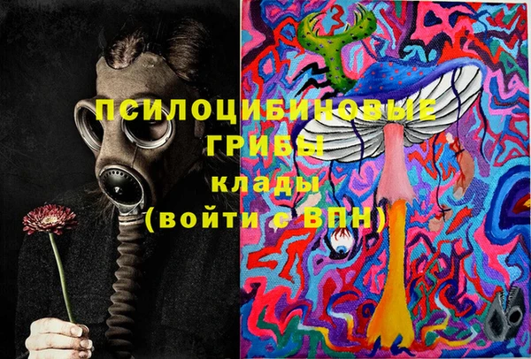шишки Алексеевка