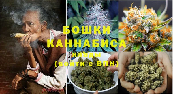 шишки Алексеевка
